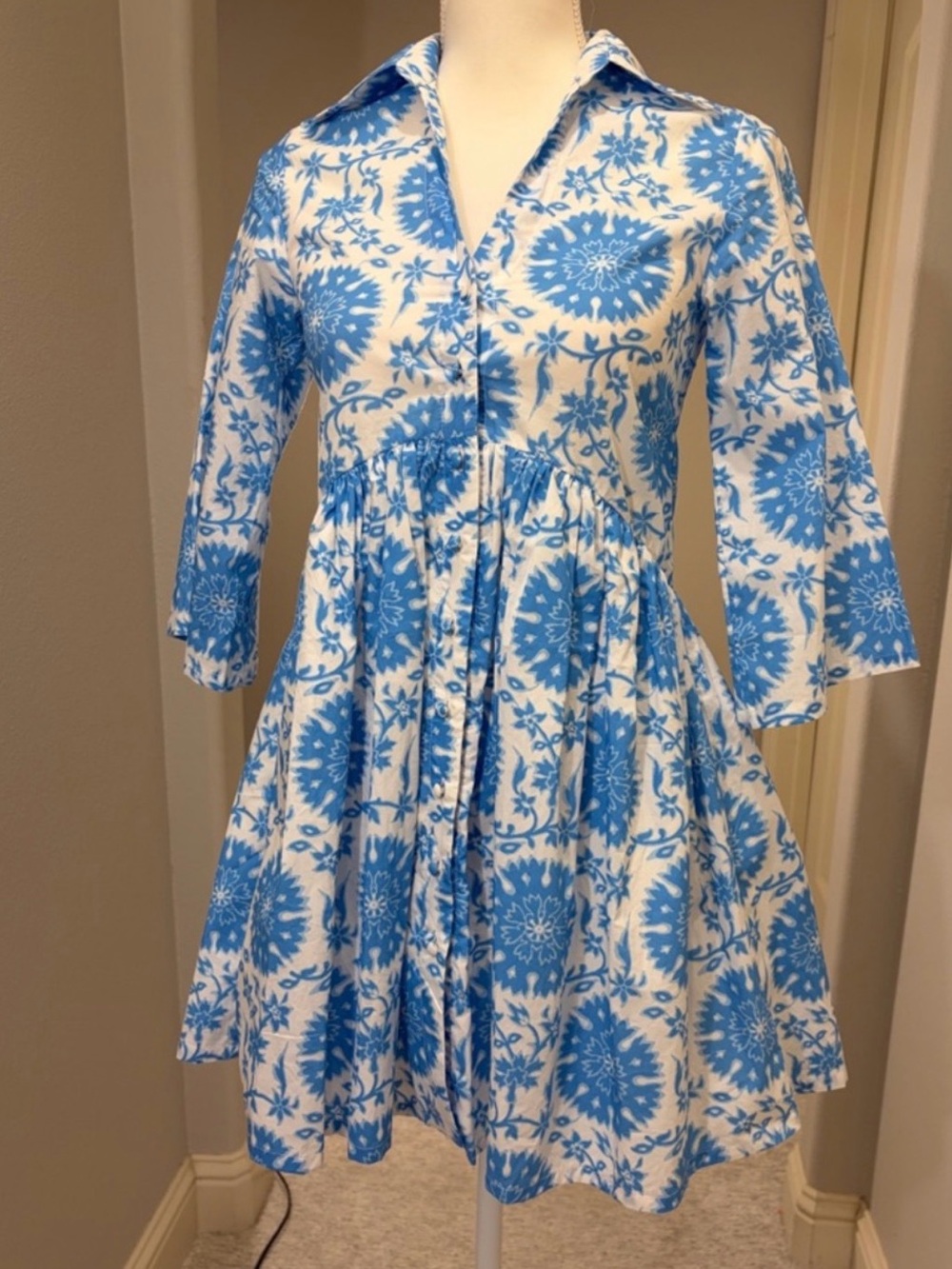 Hermoza Blue and White Floral Mini Dress